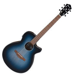 Ibanez AEG50 IBH Acoustic Electric Guitar 