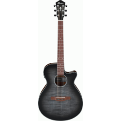 Ibanez AEG70 TCH Electric Guitar 