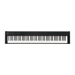 Korg D1 Digital Piano (88-Key)