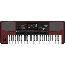 Korg PA-1000 61-Key Professional Arranger Keyboard 