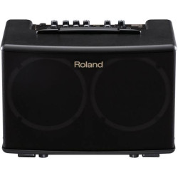 Roland AC40 Acoustic Guitar Amplifier 