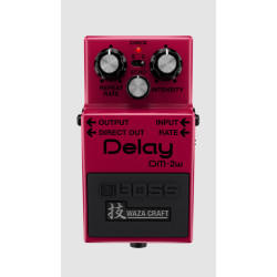 BOSS DM-2W Waza Craft Delay Pedal