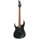 The Ibanez RG421EXL BKF Electric Guitar in Black Flat