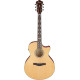 Ibanez AE170N Natural High Gloss top Transparent Red High Gloss back and sides Acoustic Guitar