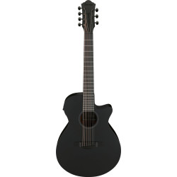 Ibanez AEG721 Black Out Acoustic Guitar