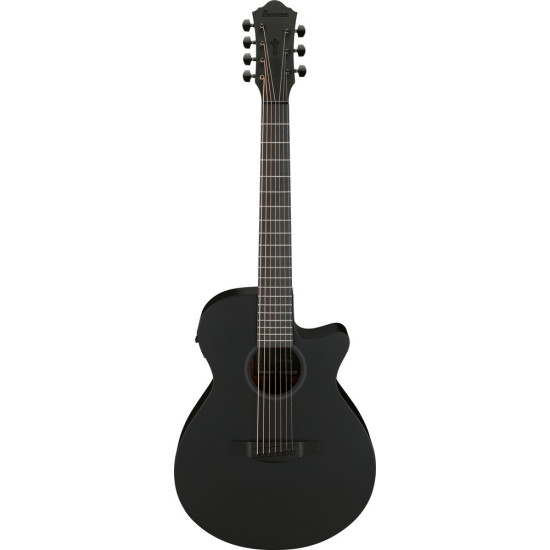 Ibanez AEG721 Black Out Acoustic Guitar