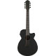 Ibanez AEG721 Black Out Acoustic Guitar