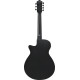 Ibanez AEG721 Black Out Acoustic Guitar