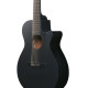 Ibanez AEG721 Black Out Acoustic Guitar