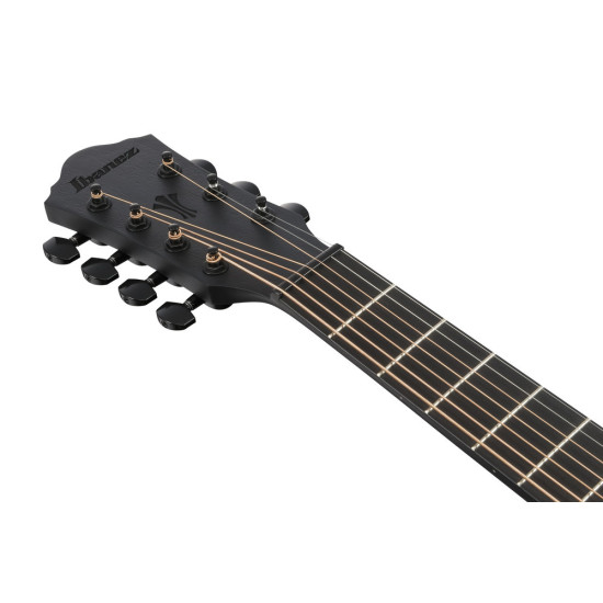 Ibanez AEG721 Black Out Acoustic Guitar