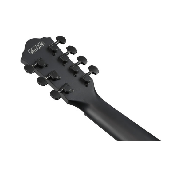 Ibanez AEG721 Black Out Acoustic Guitar