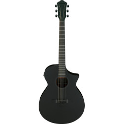 Ibanez AEWC621 Black Out Acoustic Guitar