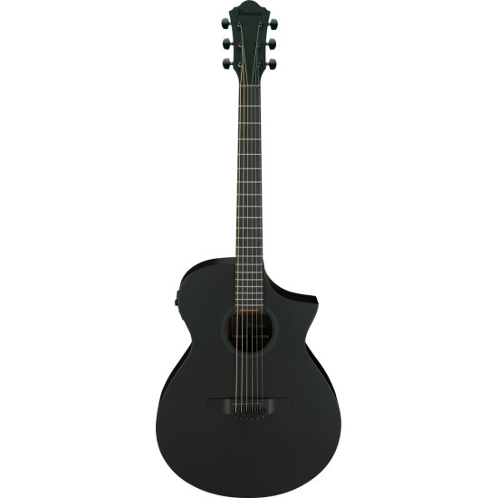Ibanez AEWC621 Black Out Acoustic Guitar