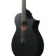 Ibanez AEWC621 Black Out Acoustic Guitar