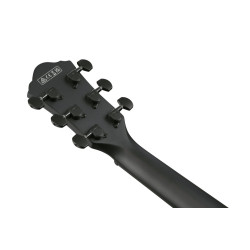 Ibanez AEWC621 Black Out Acoustic Guitar