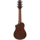 Ibanez AUP10N Open Pore Light Brown Sunburst Ukulele with Bag