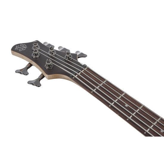 Ibanez BTB605 Transparent Gray Flat 5 String Electric Bass