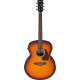 Ibanez PJ50E Open Pore Vintage Amber Sunburst Top, Open Pore Natural Back and Sides Acoustic Guitar 