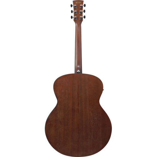 Ibanez PJ50E Open Pore Vintage Amber Sunburst Top, Open Pore Natural Back and Sides Acoustic Guitar 
