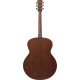 Ibanez PJ50E Open Pore Vintage Amber Sunburst Top, Open Pore Natural Back and Sides Acoustic Guitar 