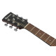 Ibanez PJ50E Open Pore Vintage Amber Sunburst Top, Open Pore Natural Back and Sides Acoustic Guitar 