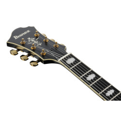 Ibanez PM3C Black Low Gloss Pat Metheny Signature Guitar