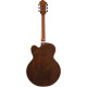 Ibanez PM3C Natural Amber Low Gloss Pat Metheny Signature Guitar
