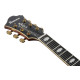 Ibanez PM3C Natural Amber Low Gloss Pat Metheny Signature Guitar