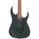 Ibanez RG420EXBKF Electric Guitar Black Flat