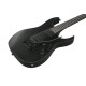 Ibanez RGRB620 Black Flat Electric Guitar