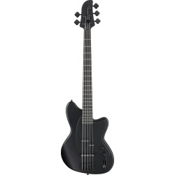 Ibanez TMB425B Black Flat 5 String Electric Bass