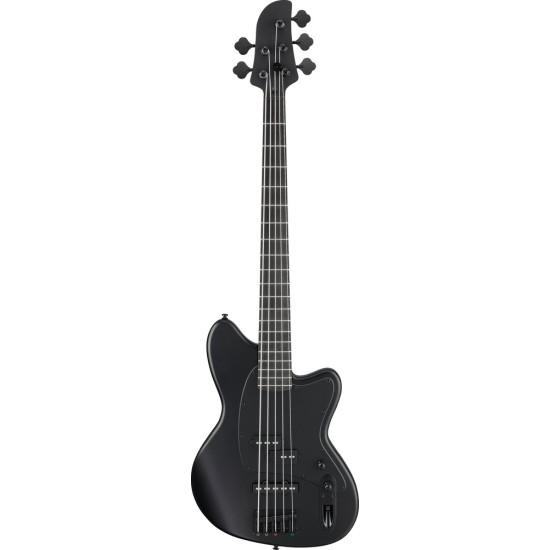 Ibanez TMB425B Black Flat 5 String Electric Bass
