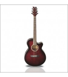 Ashton SL29CEQ Acoustic/Electric Guitar